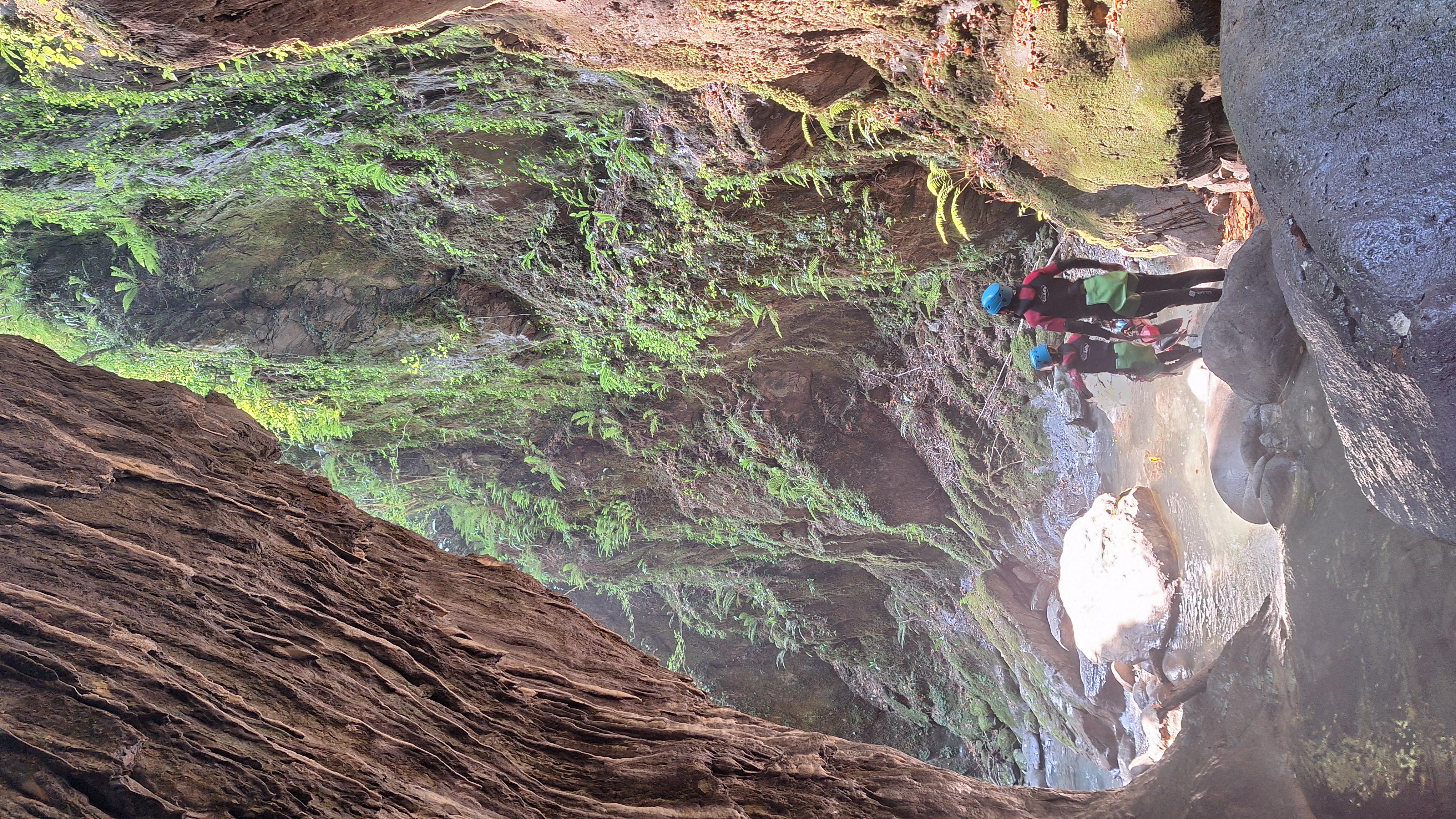 Canyon